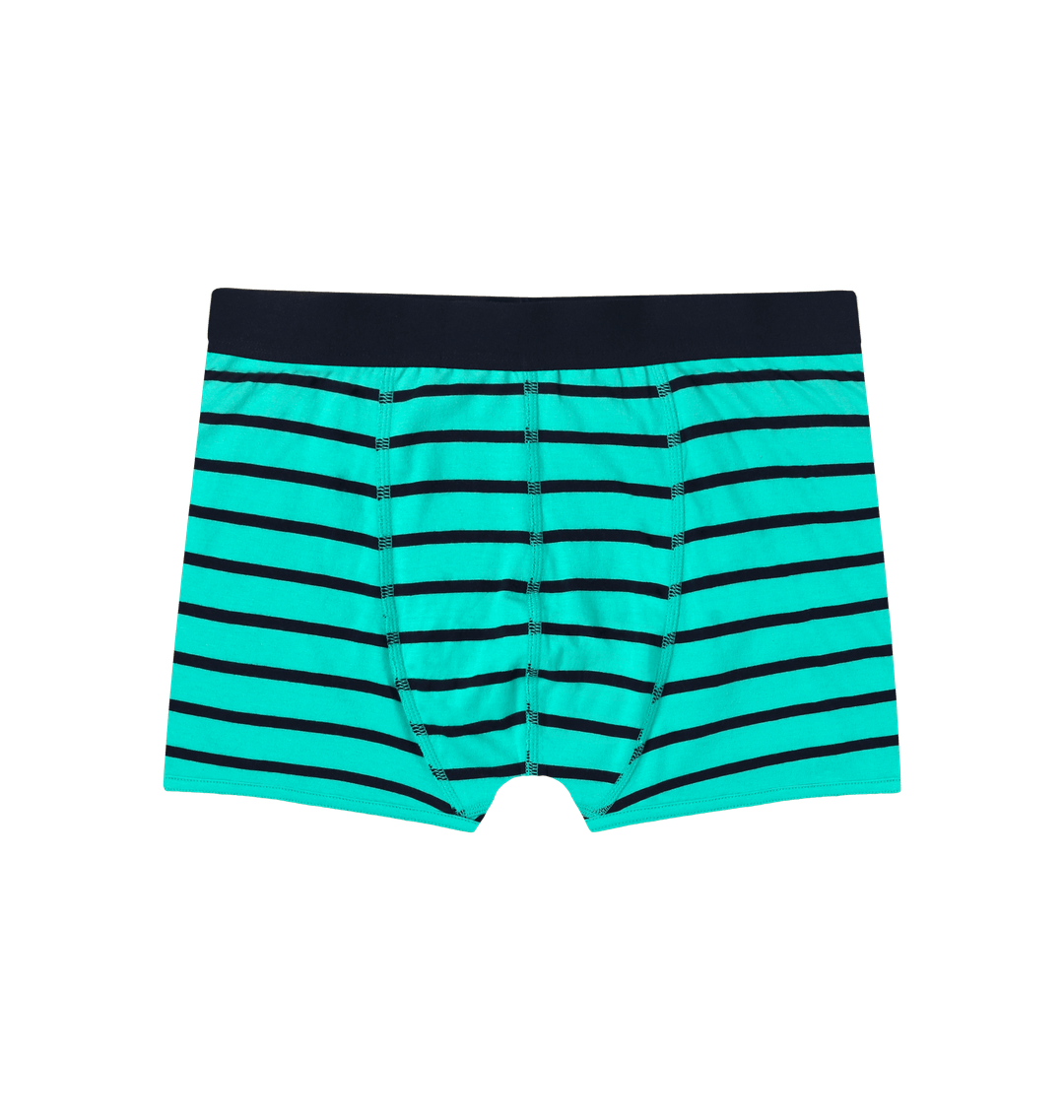 Seagrass Stripes Boxer Trunks