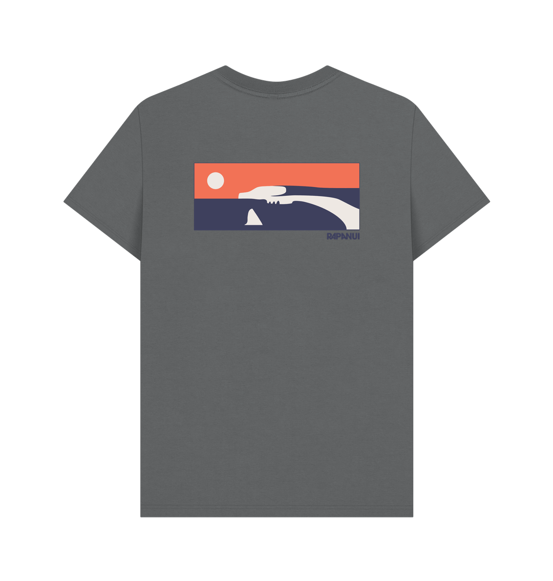 Slate Grey Printed T-shirt Back