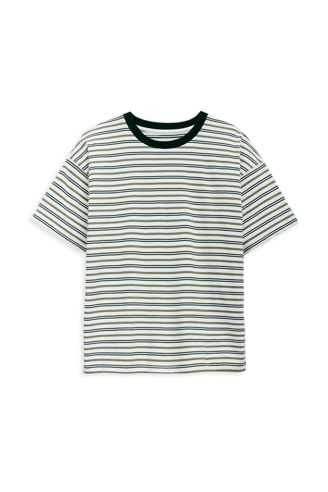 Evergreen Stripes Printed T-shirt