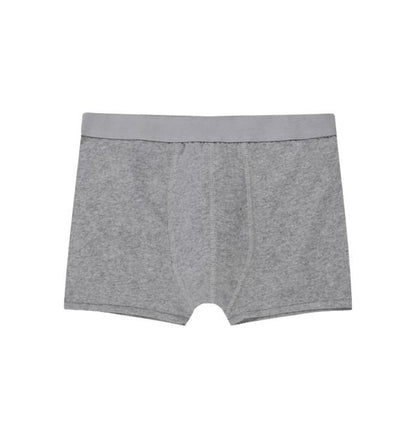 Athletic Grey Boxer Trunks