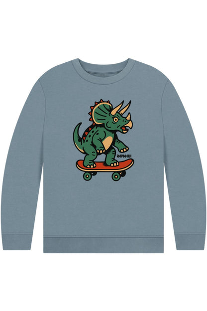 Stone Blue Printed Kids Jumper