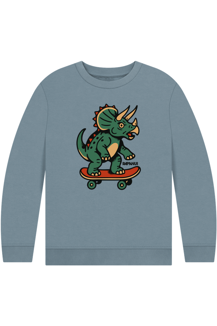 Stone Blue Printed Kids Jumper