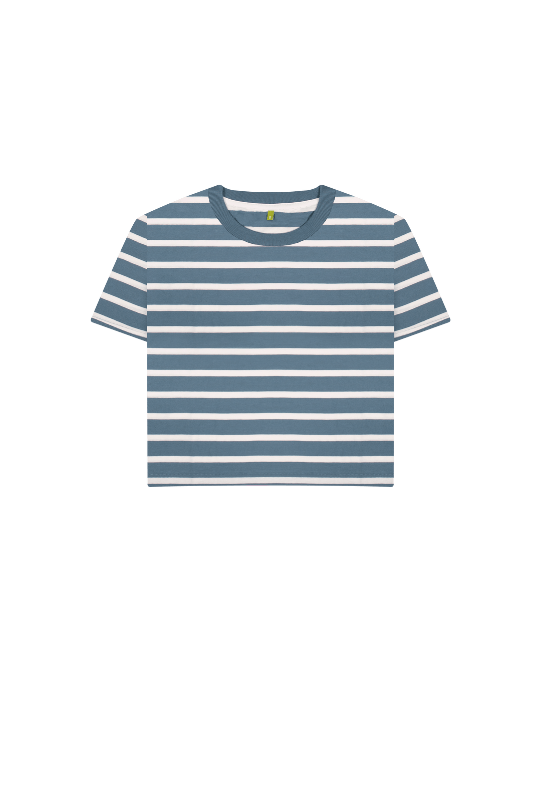 Blue Stripes Printed T-shirt