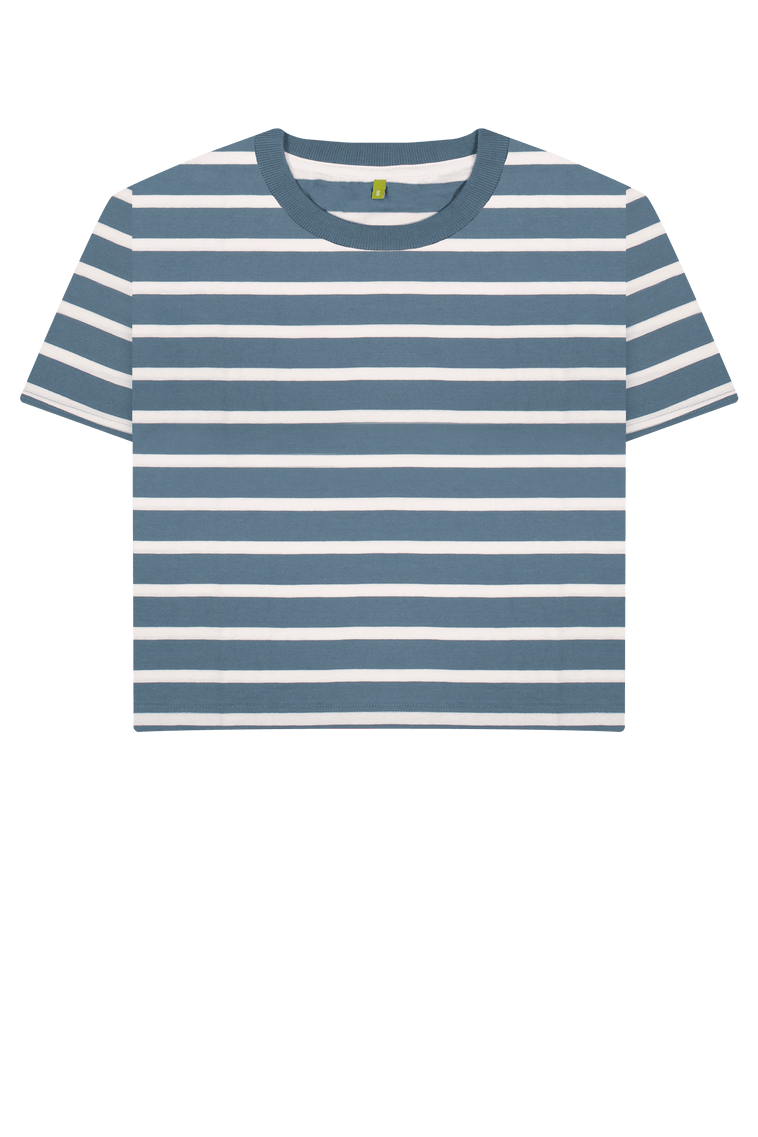 Blue Stripes Printed T-shirt