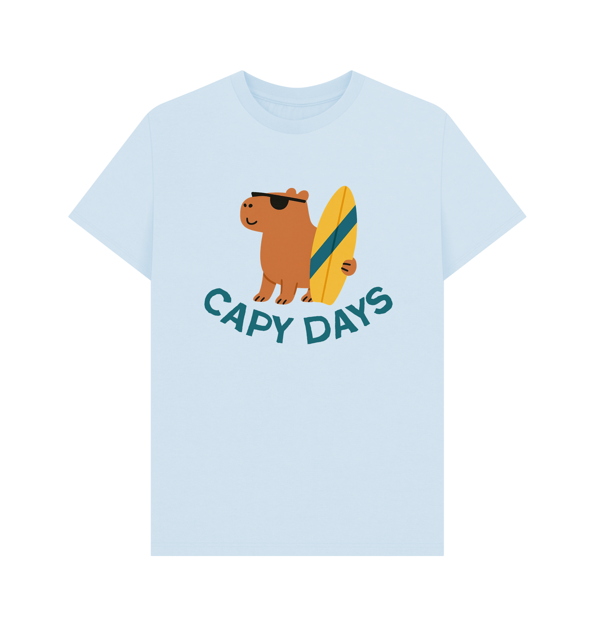 Sky Blue Printed T-shirt Front