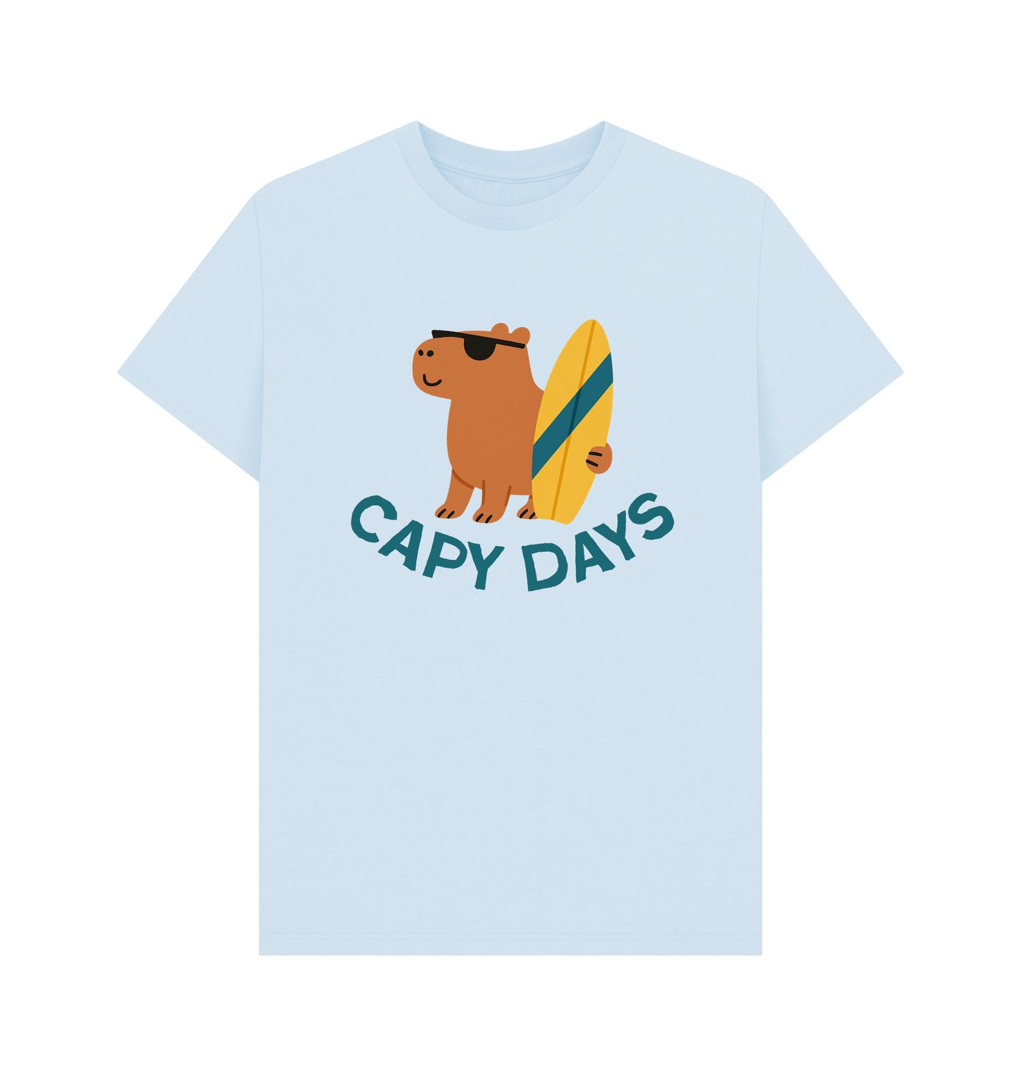 Sky Blue Printed T-shirt Front