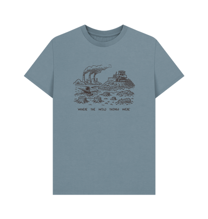 Stone Blue Printed T-shirt Front