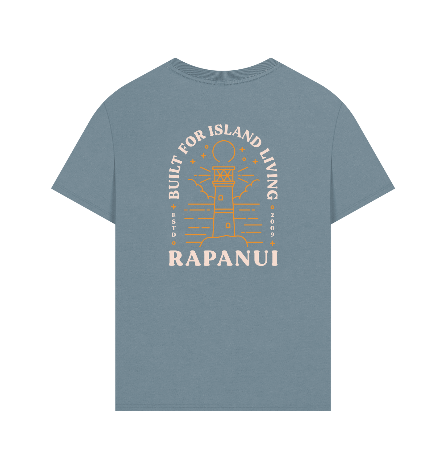 Stone Blue Printed T-shirt Back