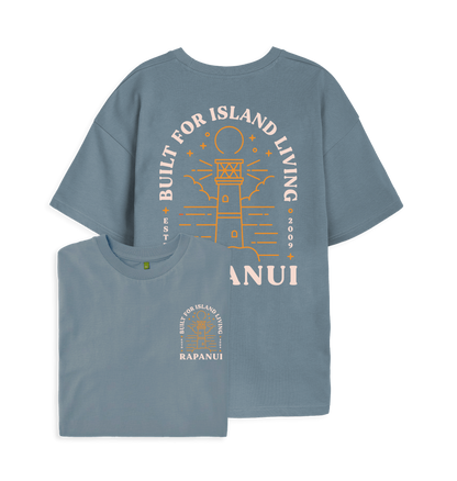 Stone Blue Printed T-shirt Front