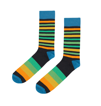 Snazzy Socks Front