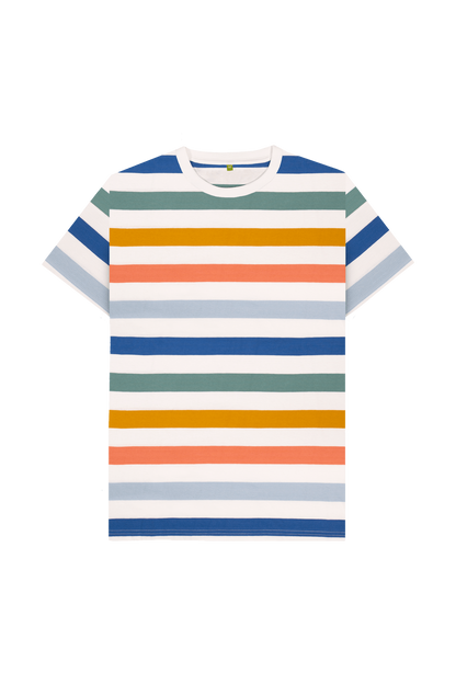 Multicolour Stripes Printed Premium T-Shirt