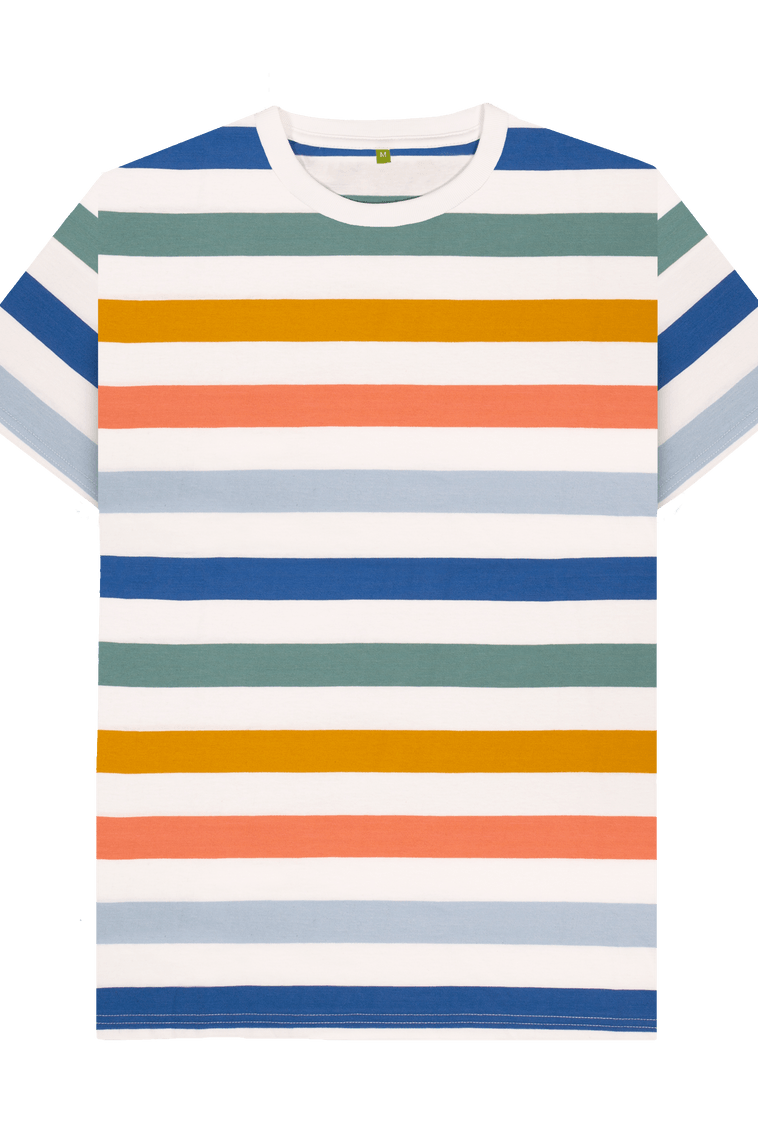 Multicolour Stripes Printed Premium T-Shirt