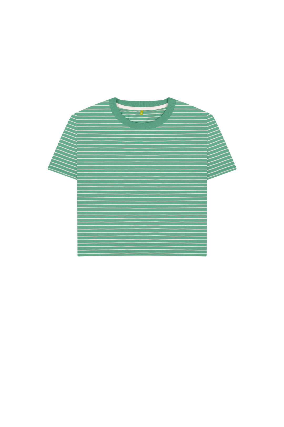 Green Stripes Printed T-shirt