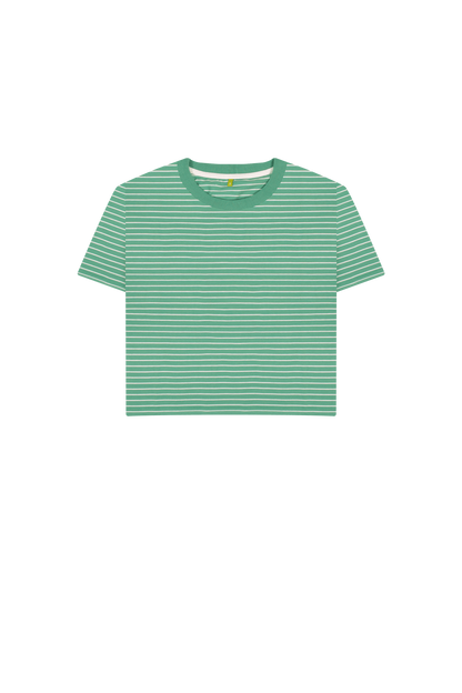 Green Stripes Printed T-shirt