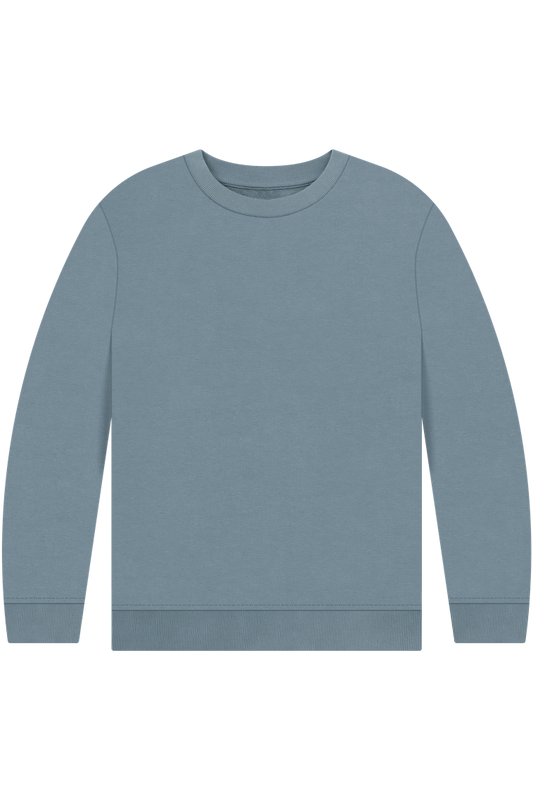 Stone Blue Printed Kids Jumper